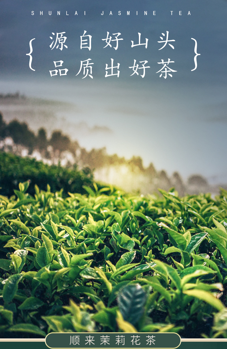 橫縣茉莉花茶-詳情20210319_03