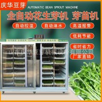 慶華商用箱式花生芽機(jī) 智能花生芽機(jī) 全自動(dòng)高溫控水發(fā)花生芽設(shè)備