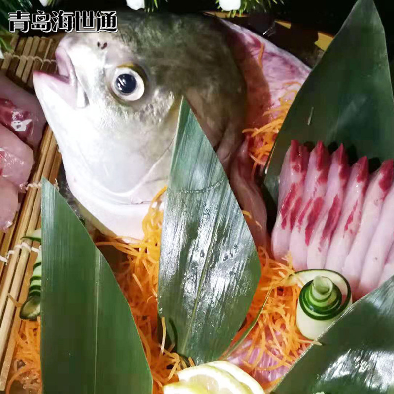 金鯧魚2.jpg