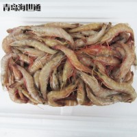 供應海捕蝦麻蝦白蝦