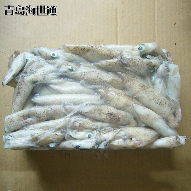 筆管魚(yú)1.JPG