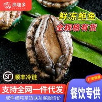 鮑魚鮮活批發(fā)鮑魚冷凍品商用鮑魚肉商用帶殼活凍鮑魚批發(fā)撈汁專用