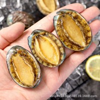帶殼去肚小鮑魚 源豐速凍鮑魚現(xiàn)貨18頭真空鮑魚食材 大量現(xiàn)貨