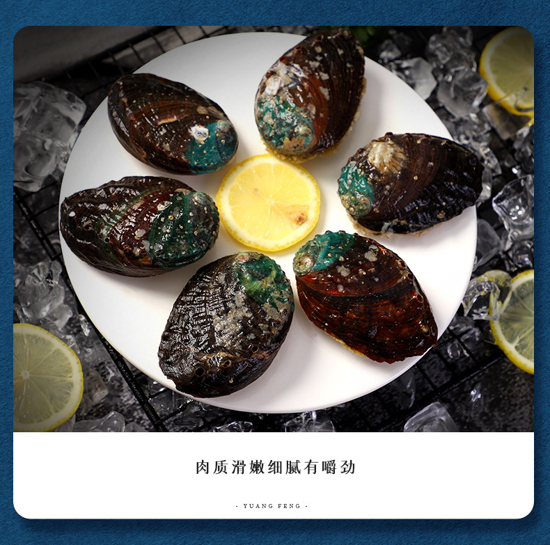 帶殼帶肚-小鮑_05