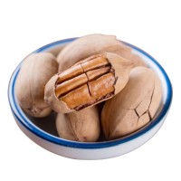 廠家批發(fā)新貨休閑食品優(yōu)質(zhì)中尖碧根果長壽果散裝直批堅(jiān)果炒貨包郵