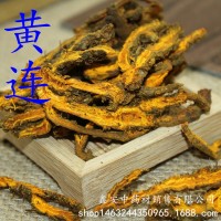批發(fā)中藥材 黃連 四川黃連片 黃連個(gè) 免費(fèi)打粉 量大從優(yōu)