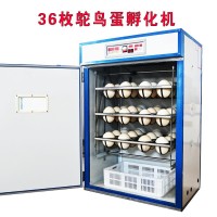鴕鳥孵化機 全自動智能鴕鳥蛋孵化器 鴯鹋孵化箱家用珍禽卵設(shè)備