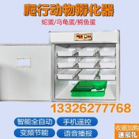 科裕蛇蛋烏龜?shù)芭佬袆游锶詣臃趸瘷C家用智能蛇卵孵化設(shè)備卵化器