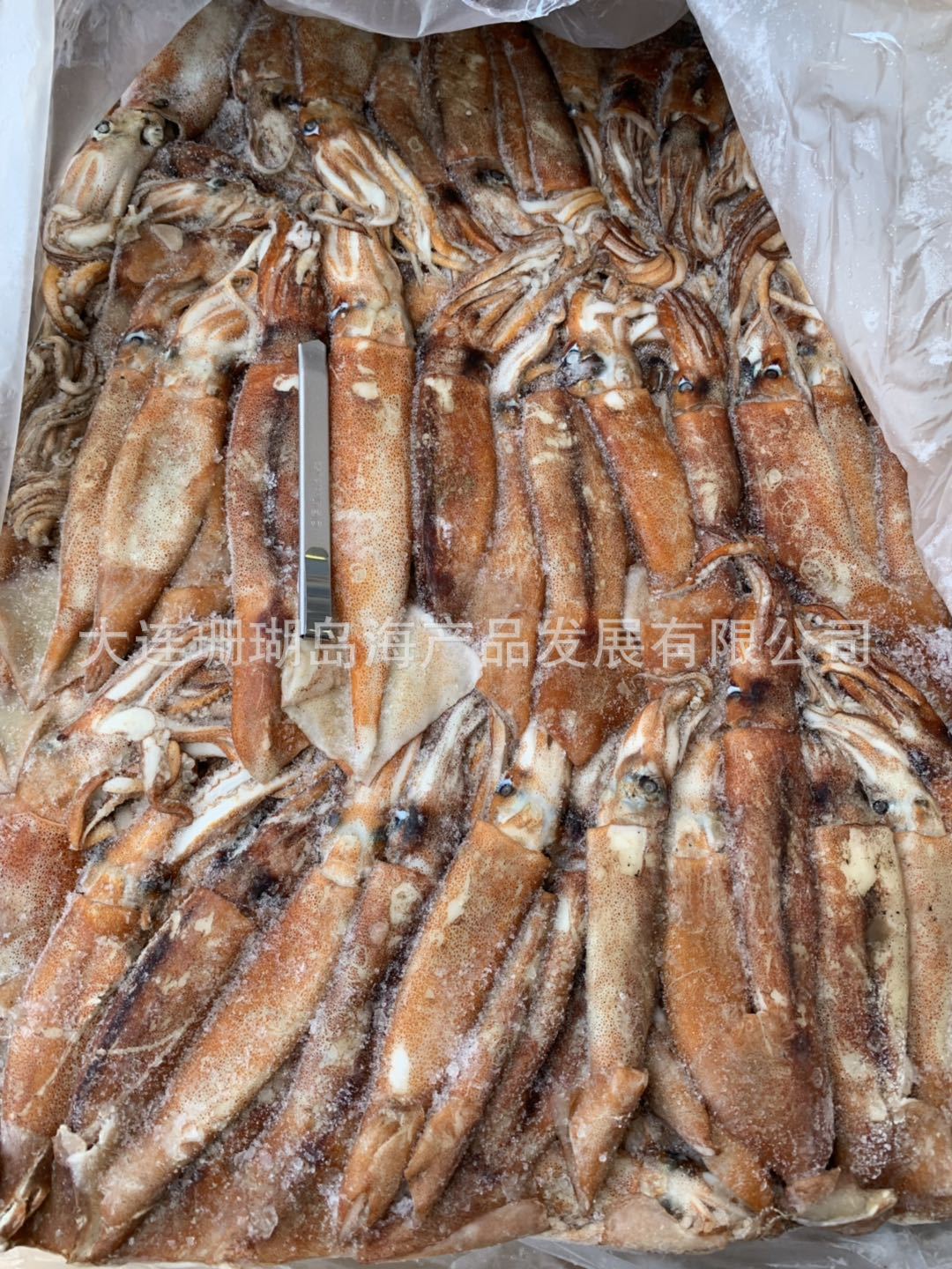 微信圖片_20190603151114