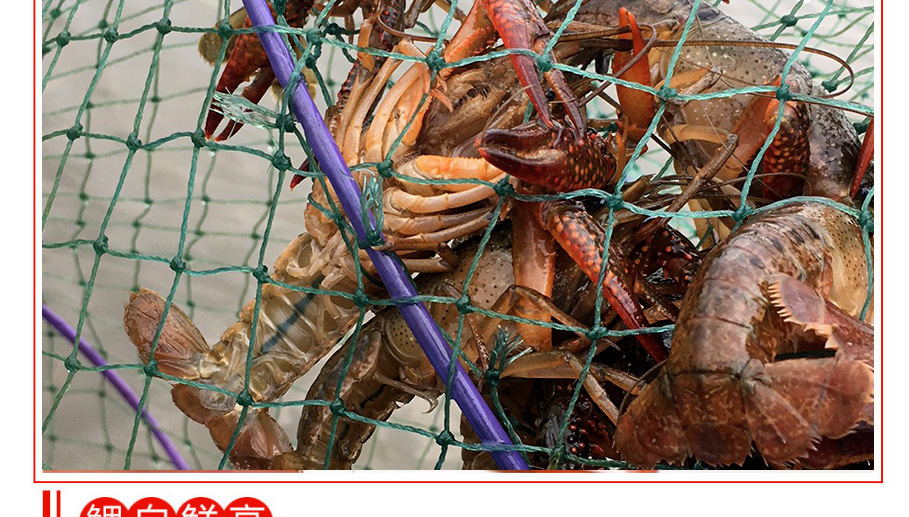 10825326456_185162793