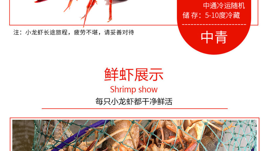 10883099035_185162793