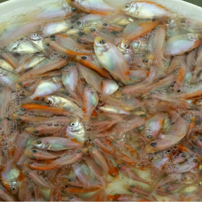 QQ圖片20190831172951