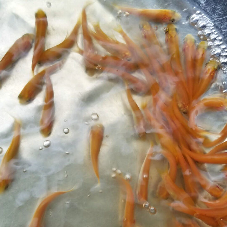 QQ圖片20190829170342_副本