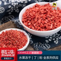 草莓丁粒碎凍干果干碎 廠家直銷量大議價(jià) 茶飲烘焙冰激凌裝飾輔料