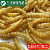 養(yǎng)殖場(chǎng)供面包蟲干批發(fā)黃粉蟲干 寵糧鳥糧飼料倉鼠零食觀賞魚龜糧