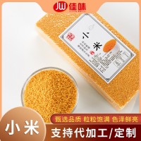 黃小米農家小米粥月子米包裝500g批發(fā)米脂小米五谷雜糧廠家批發(fā)