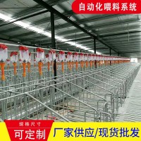 可定制新型飼喂機(jī)械 豬場自動(dòng)喂料系統(tǒng)畜牧養(yǎng)殖業(yè)自動(dòng)化飼喂設(shè)備