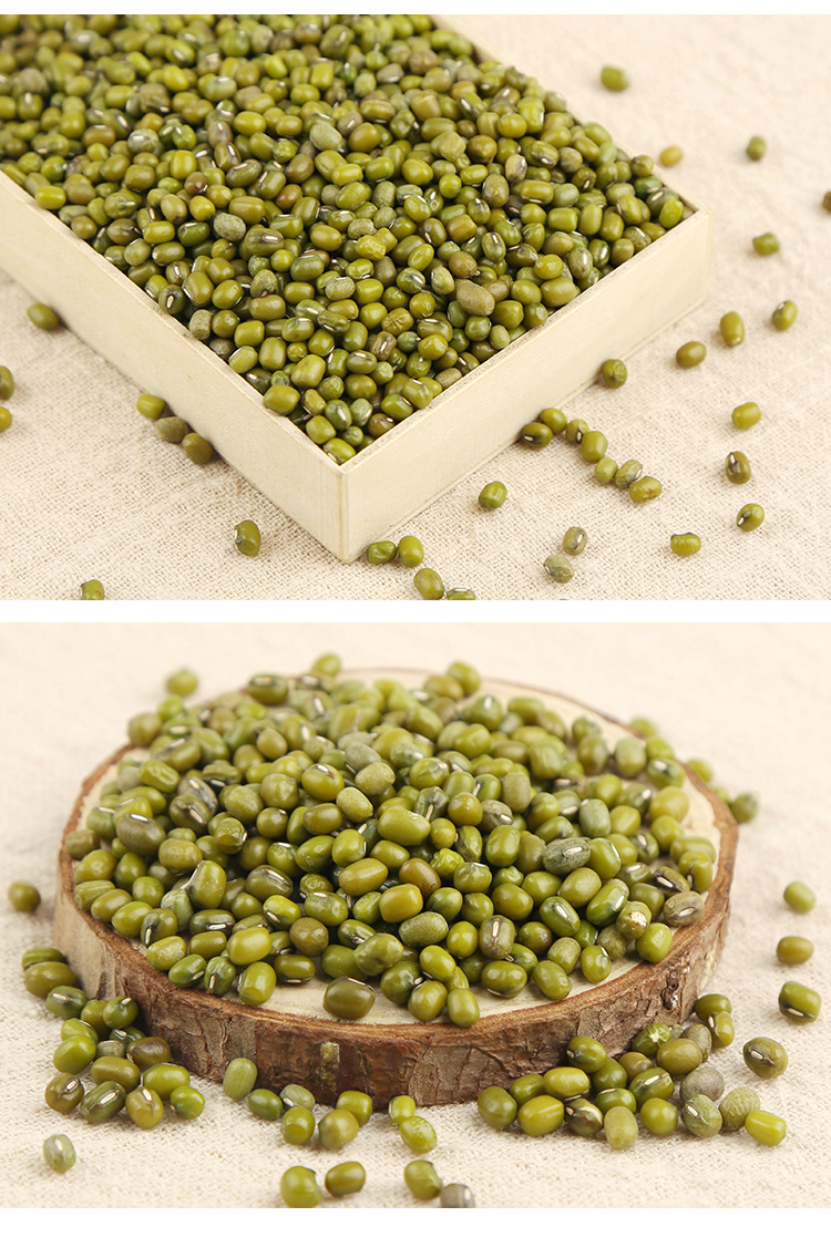 綠豆_09.jpg