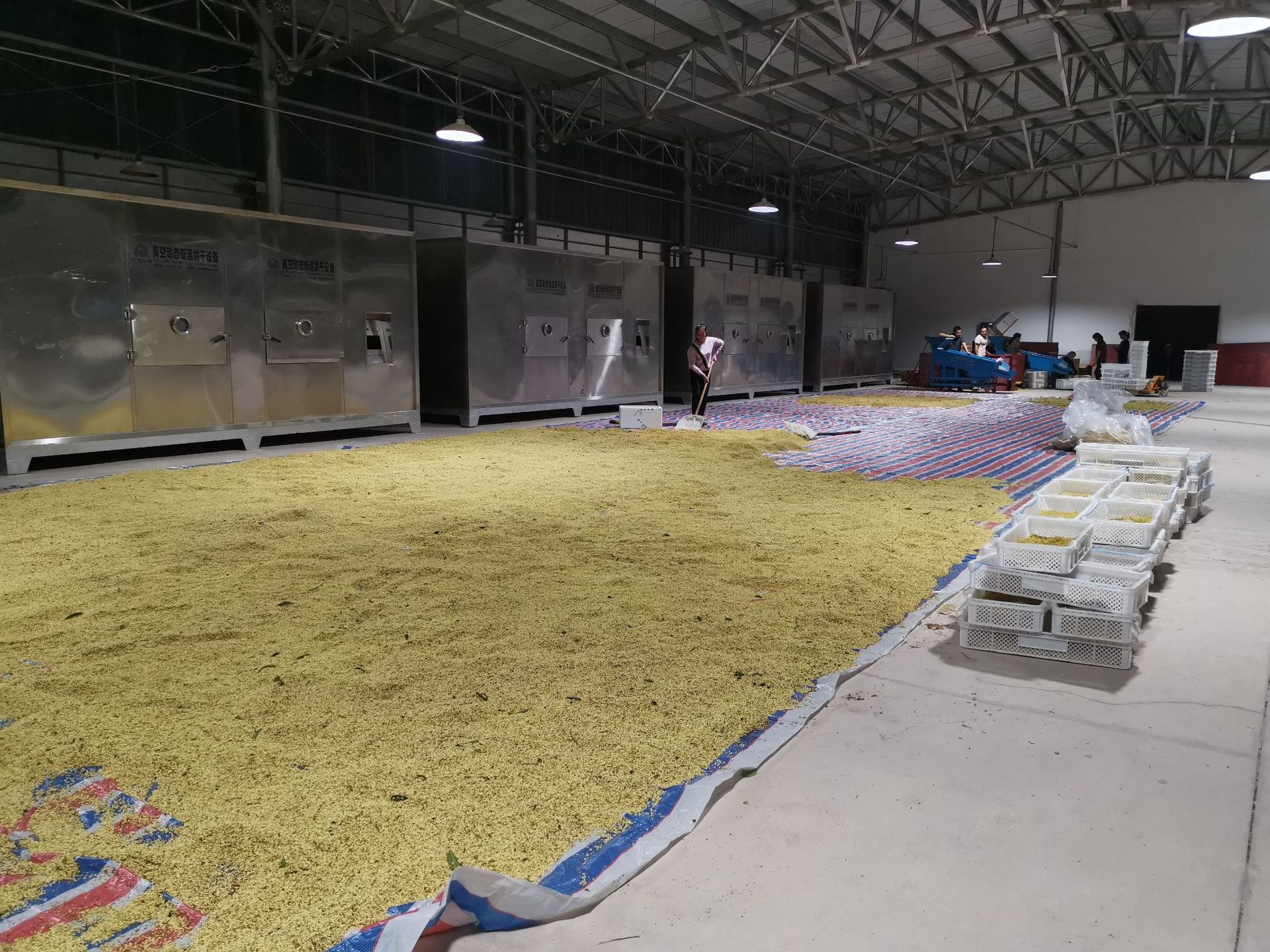 QQ圖片20201027132639