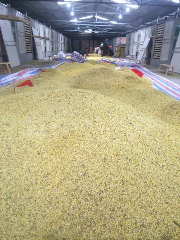 QQ圖片20161106110644