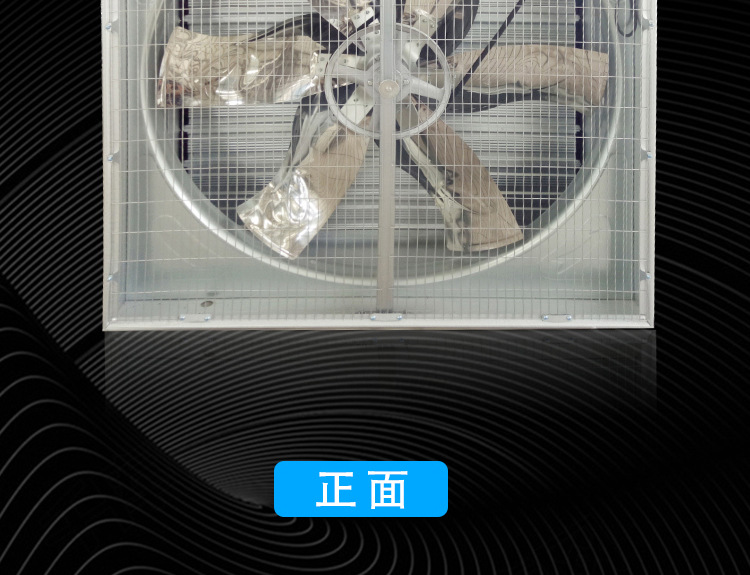 10222472895_906556435