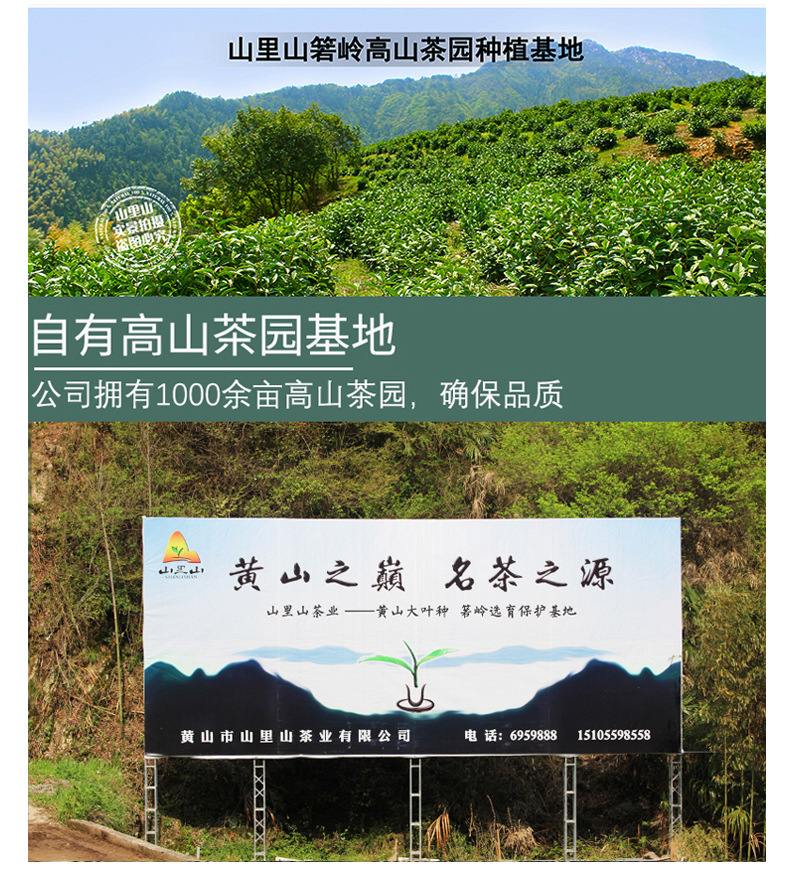 毛峰禮盒詳情頁_06