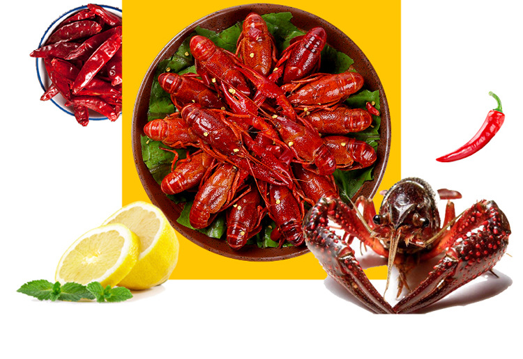 詳情頁模板-小龍蝦鮮活副本_02