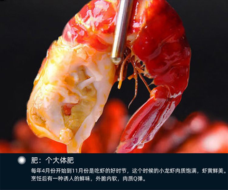 詳情頁模板-小龍蝦鮮活副本_10