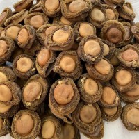 源頭批發(fā)南非鮑魚海味批發(fā)鮑魚南非鮑魚干4頭一手貨源