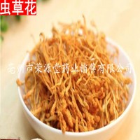 批發(fā)中藥材 金蟲草 蟲草花 蛹蟲草 各種規(guī)格 大貨供應(yīng)