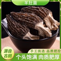 福建古田羊肚菌干貨100g干貨批發(fā) 煲湯食材調(diào)味品羊肚菌