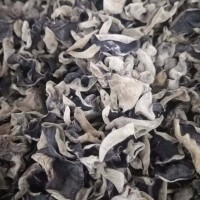 潤澤食用菌源頭廠家農產品干貨黑木耳批發(fā) 無根肉厚食用菌批發(fā)