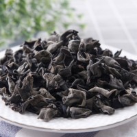 潤(rùn)澤食用菌源頭廠家農(nóng)產(chǎn)品干貨黑木耳批發(fā) 無根肉厚食用菌批發(fā)