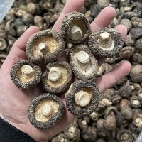 香菇干貨批發(fā) 光面菇金錢菇 冬菇古田特產干香菇篩選好3-4cm