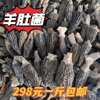 云南特產(chǎn)羊肚菌批發(fā)原產(chǎn)地大量批發(fā)羊肚菌干貨