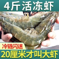 大蝦批發(fā)青島新鮮活冷凍海蝦青蝦海鮮基圍蝦對(duì)蝦特大號(hào)一整箱代發(fā)