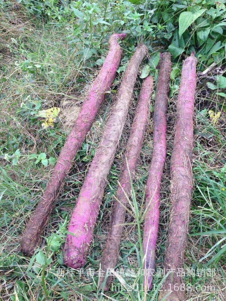 QQ圖片20150227223607