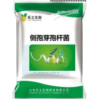 側(cè)孢短芽孢桿菌 100億/g 全水溶 生物防治菌腐熟有機肥微生物菌劑