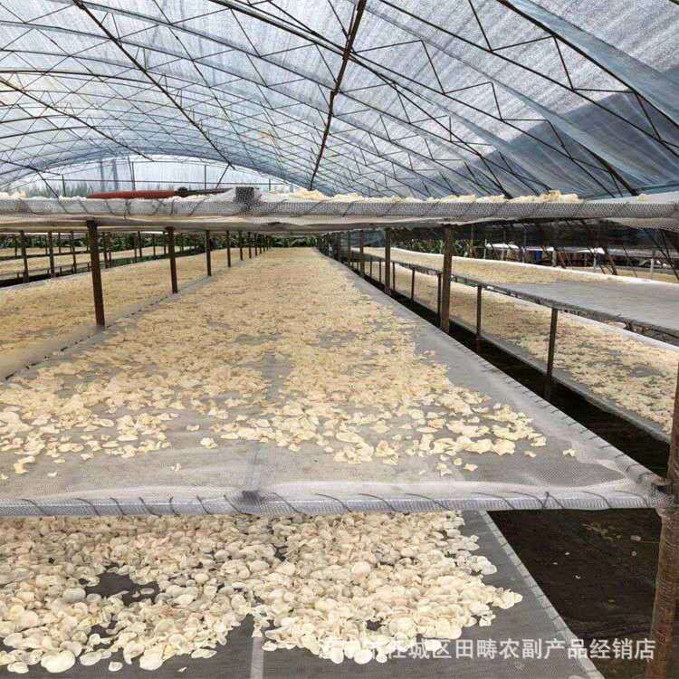 微信圖片_20200407201308