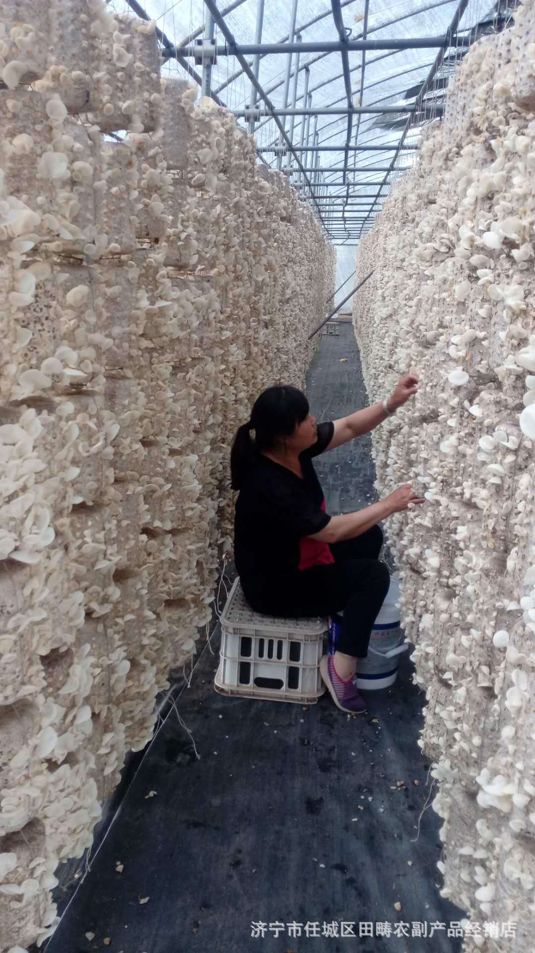 微信圖片_20200405212619