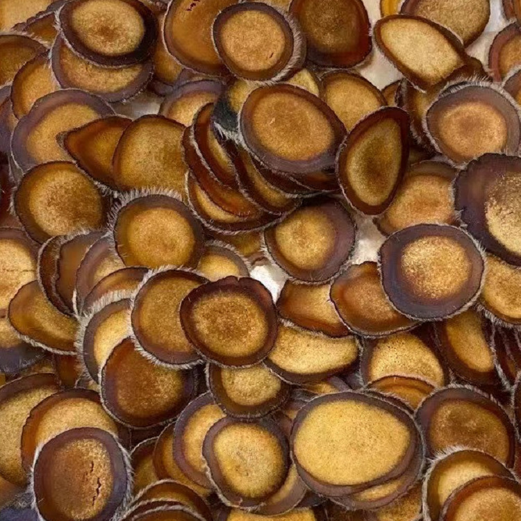 微信圖片_20220312184330