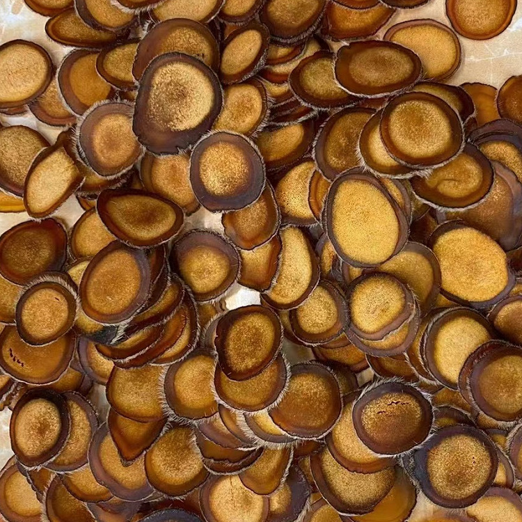 微信圖片_20220312184333