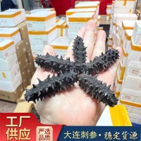 大連淡干海參干貨六排刺12A產(chǎn)家直銷(xiāo)遼參刺參大連海參可打禮盒
