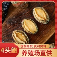 現(xiàn)貨新鮮冷凍大鮑魚 福建速凍四頭鮑真空袋裝養(yǎng)殖場直供酒店食材
