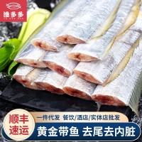 帶魚 福建東山金邊黃金帶魚去尾去內臟小眼刀魚中斷 海鮮水產(chǎn)批發(fā)