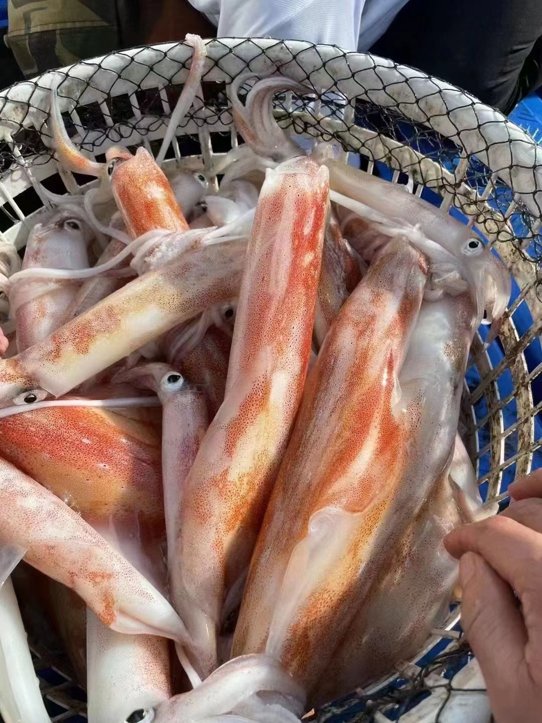 微信圖片_20220218140412