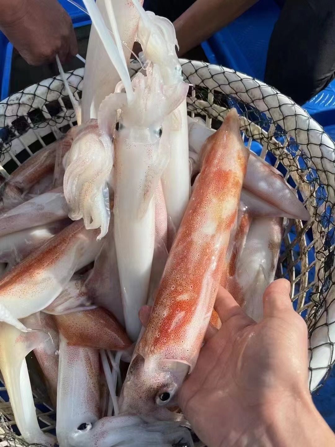 微信圖片_20220218140347