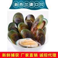 新西蘭青口貝 全殼半殼廠地直銷批發(fā)水產(chǎn)新鮮海產(chǎn)量大電聯(lián)