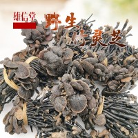 產(chǎn)地大貨供應(yīng)竹靈芝深山靈芝 赤靈芝紫靈芝免費(fèi)打粉切片