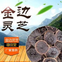 靈芝 香靈芝 金邊紫靈芝 金邊靈芝 產(chǎn)地